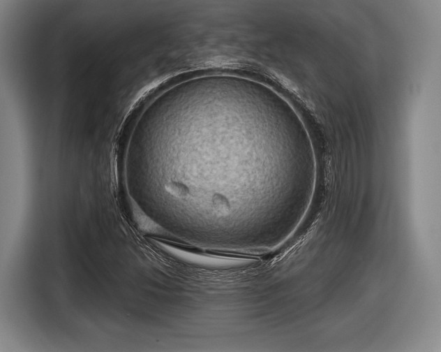 X0000116591214200912171546