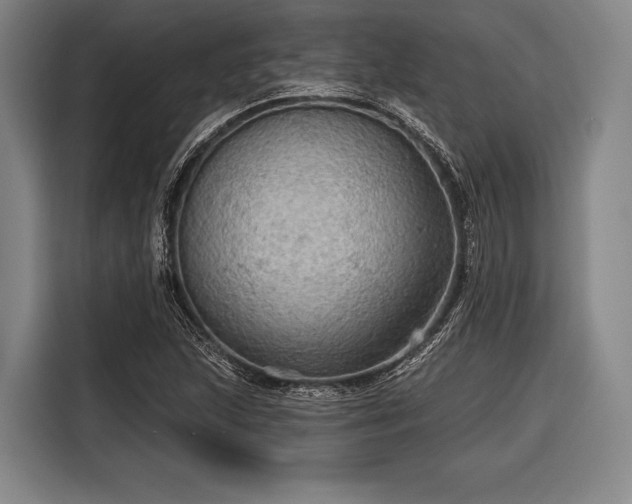 X0000116591215200912171546