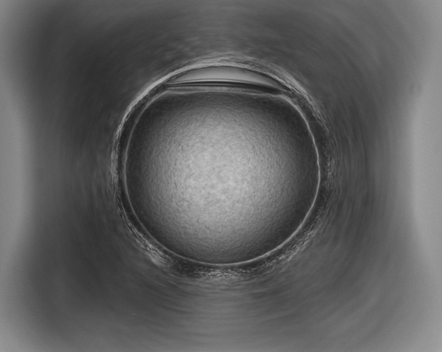 X0000116591216200912171546