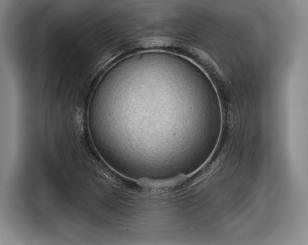 X0000116591217200912171546