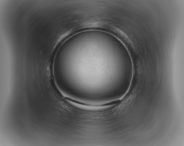 X0000116591218200912171546