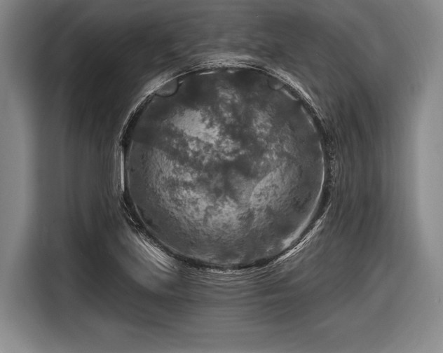 X0000116591219200912171546