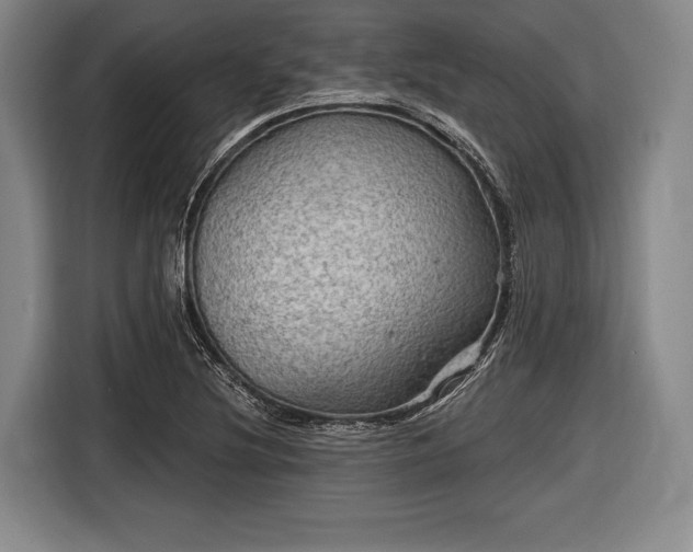 X0000116591220200912171546