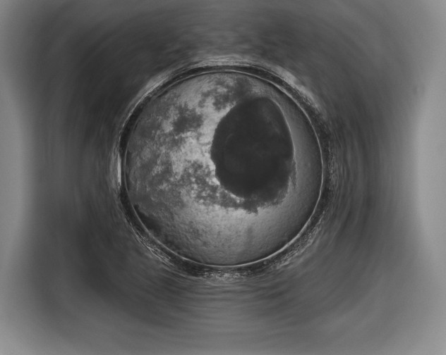 X0000116591221200912171546