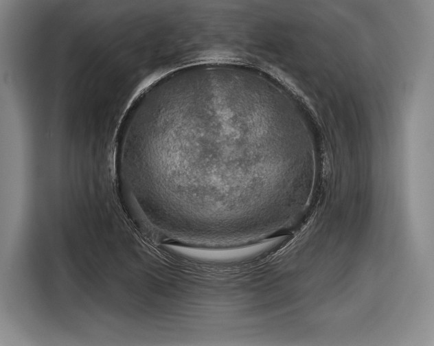 X0000116591222200912171547