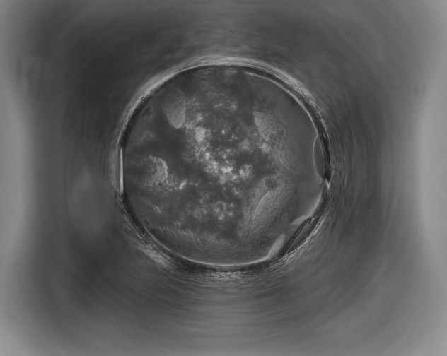 X0000116591223200912171547