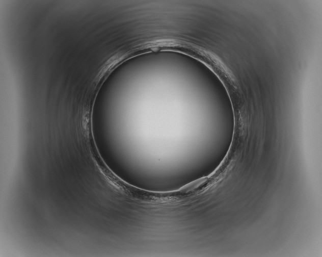 X0000116591225200912171547