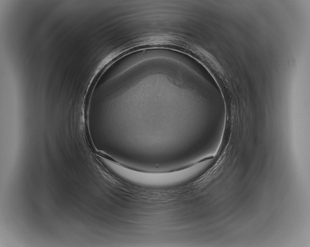 X0000116591226200912171547