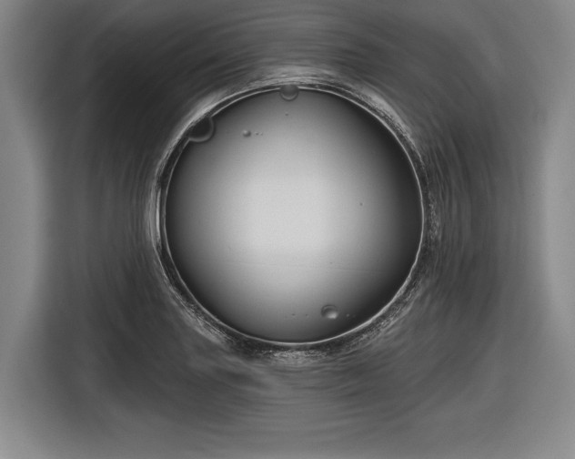 X0000116591227200912171547