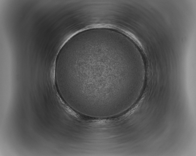 X0000116591228200912171547