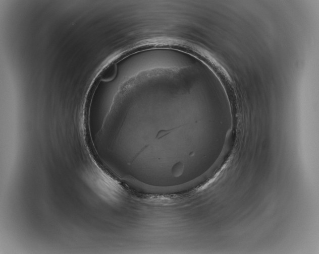 X0000116591229200912171547