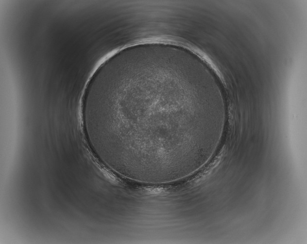 X0000116591230200912171547