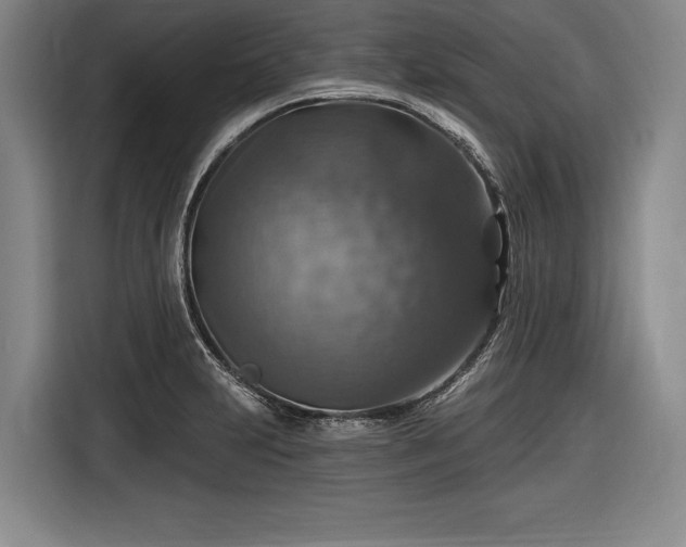 X0000116591231200912171547