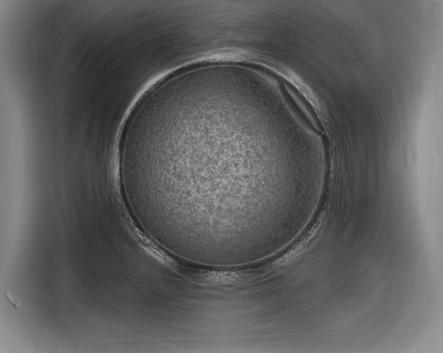 X0000116591232200912171547