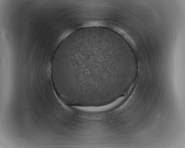 X0000116591233200912171547