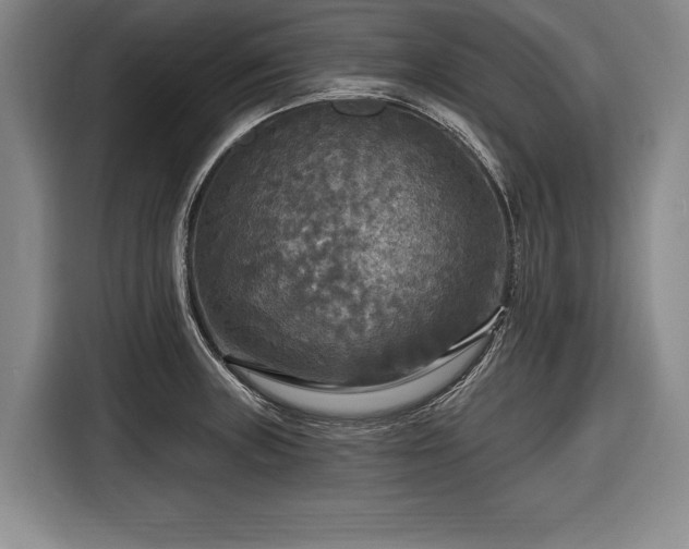 X0000116591235200912171547