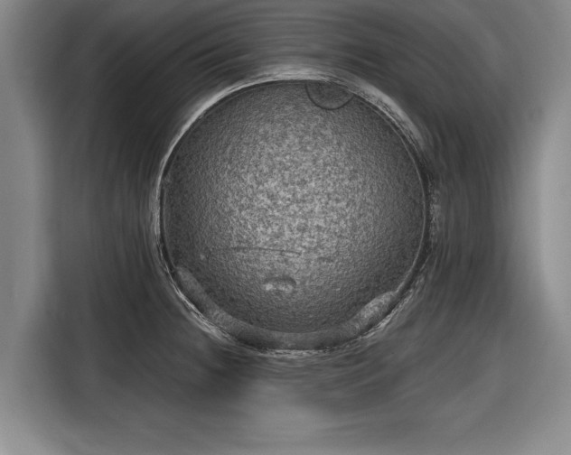 X0000116591236200912171547