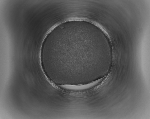 X0000116591237200912171547