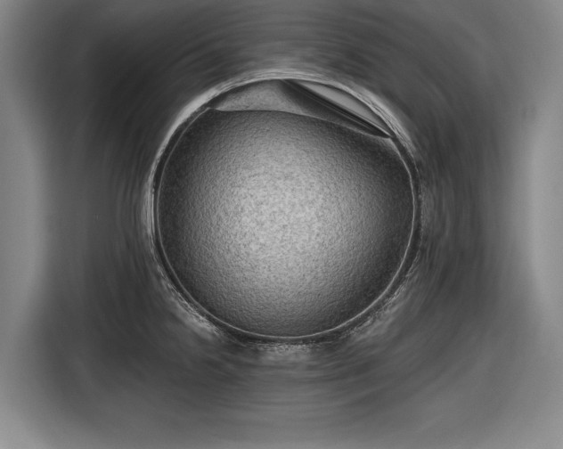 X0000116591238200912171547