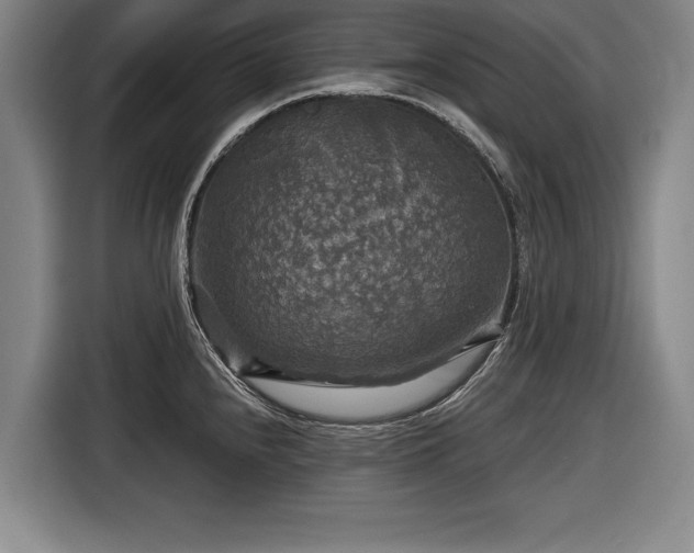 X0000116591240200912171547