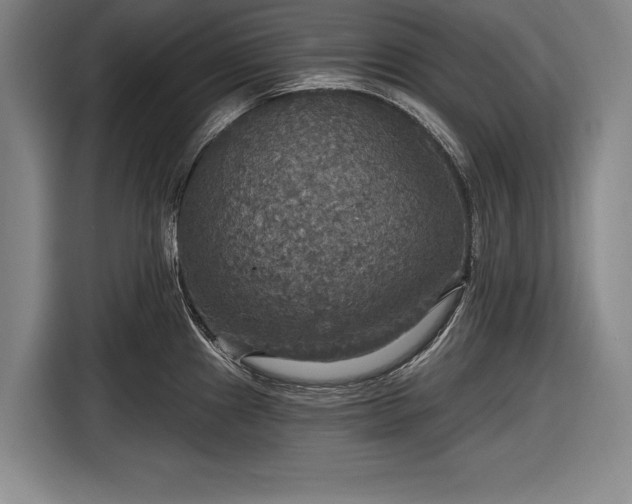 X0000116591241200912171547