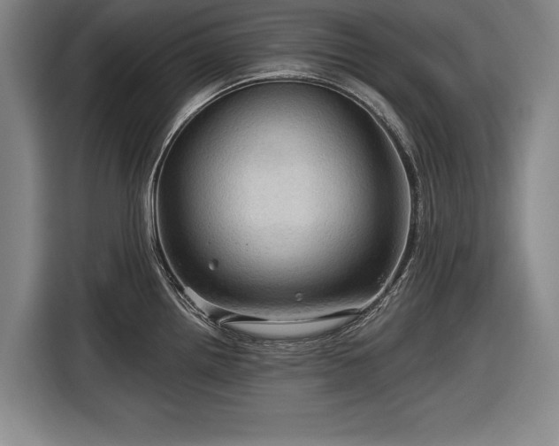 X0000116591242200912171547