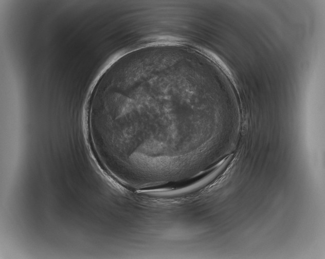 X0000116591243200912171547