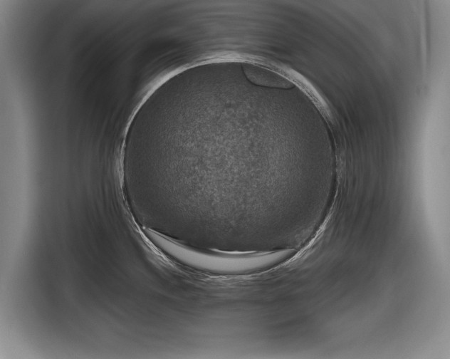 X0000116591244200912171547