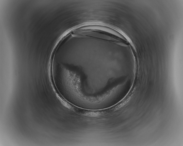 X0000116591245200912171547