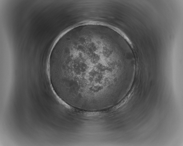 X0000116591247200912171547