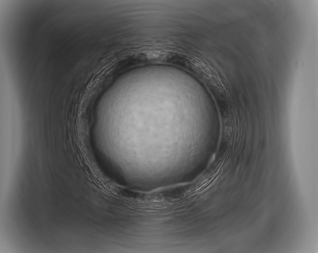 X0000116591249200912171546