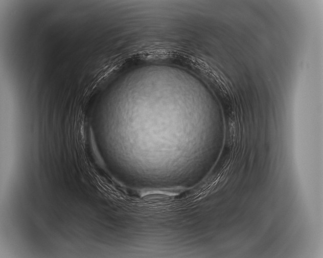 X0000116591250200912171546