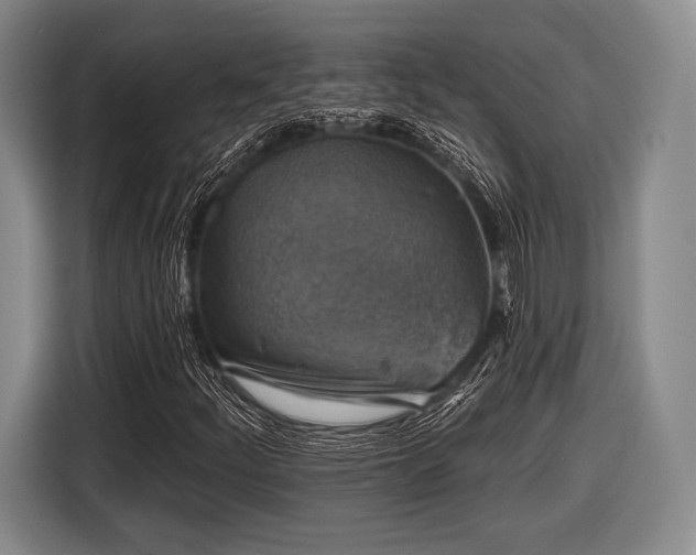 X0000116591252200912171546