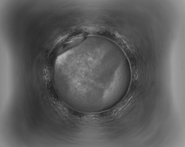 X0000116591253200912171546