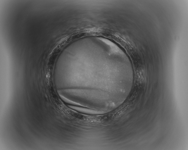 X0000116591254200912171546