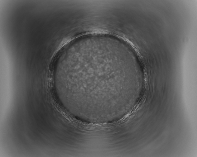 X0000116591255200912171546