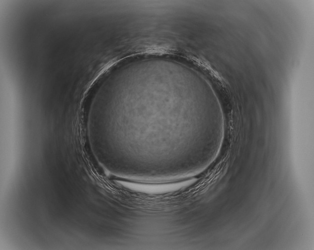 X0000116591256200912171546