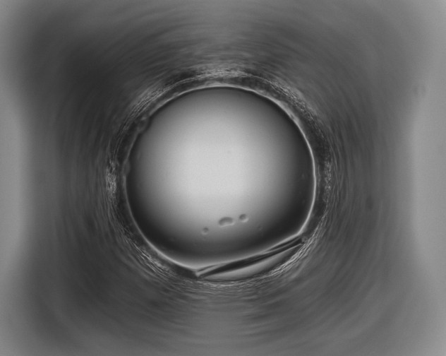 X0000116591257200912171546