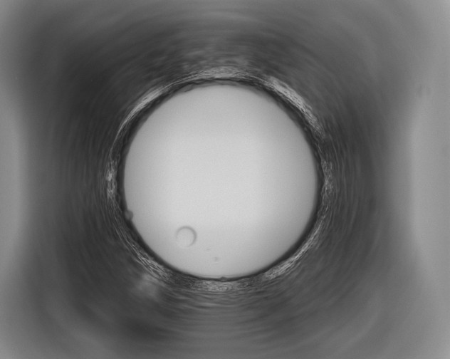 X0000116591258200912171546