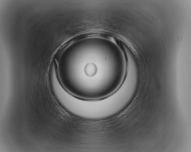 X0000116591260200912171546