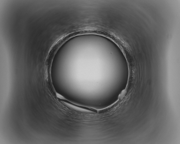 X0000116591262200912171546