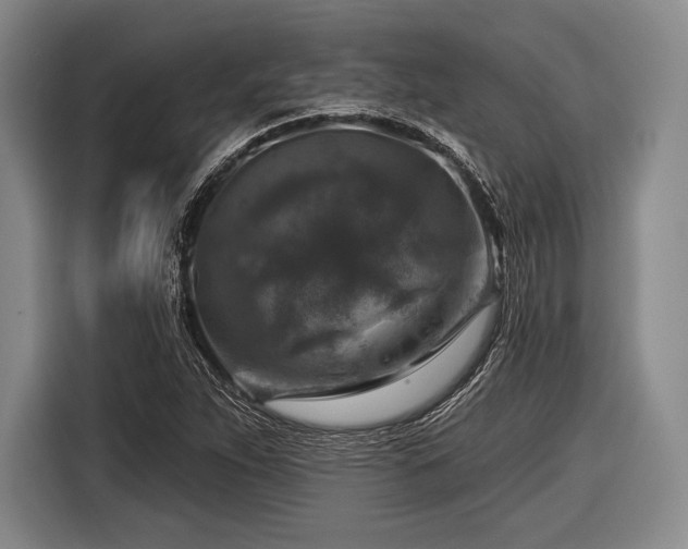 X0000116591263200912171546