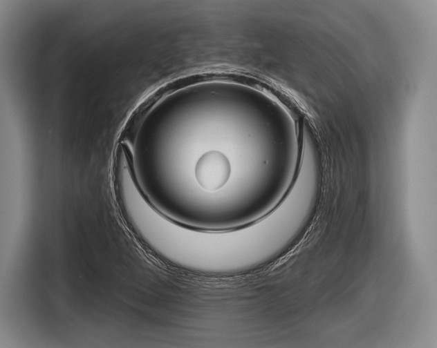 X0000116591264200912171546