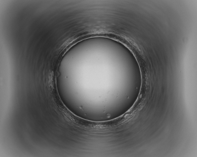 X0000116591265200912171546