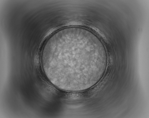 X0000116591266200912171546