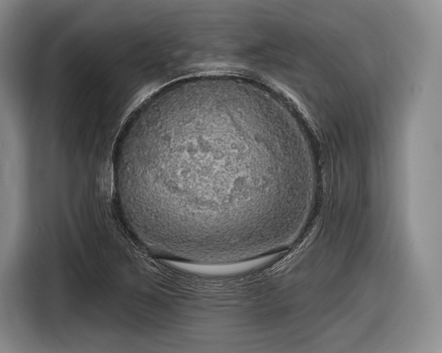 X0000116591267200912171546