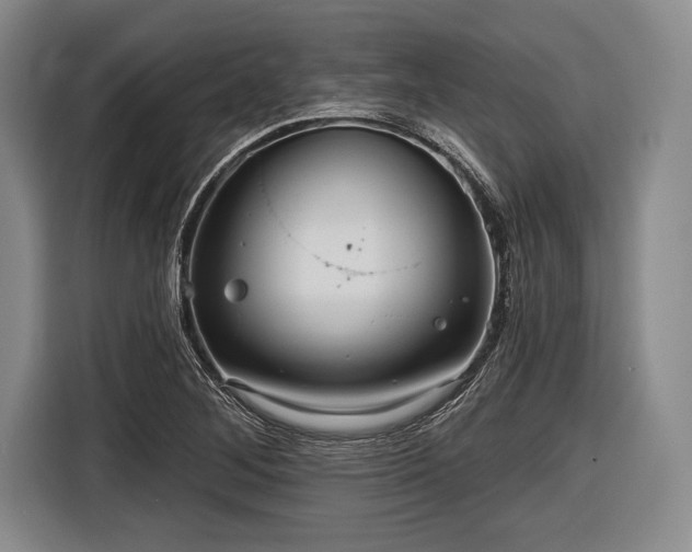 X0000116591268200912171546