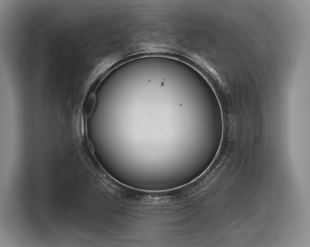 X0000116591269200912171546