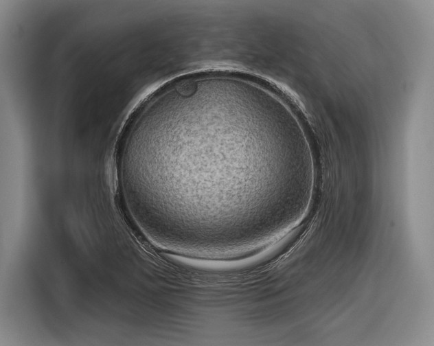 X0000116591271200912171546