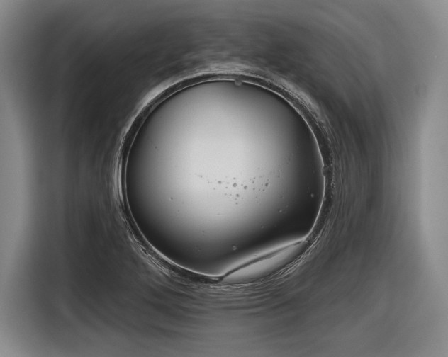 X0000116591272200912171546